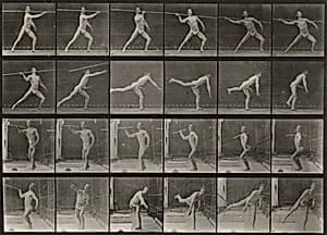 Plate Number 361. Throwing a spear by Eadweard Muybridge