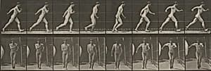 Plate Number 4. Walking by Eadweard Muybridge