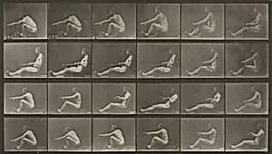 Plate Number 492. Rowing by Eadweard Muybridge