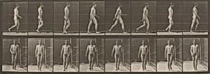 Plate Number 5. Walking by Eadweard Muybridge