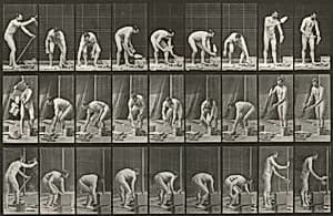 Plate Number 505. Bricklaying by Eadweard Muybridge