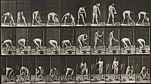 Plate Number 506. Bricklaying by Eadweard Muybridge