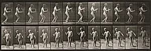 Plate Number 561. Hydrocephalus, walking by Eadweard Muybridge