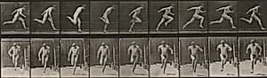 Plate Number 68. Running by Eadweard Muybridge