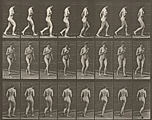 Plate Number 70. Running by Eadweard Muybridge