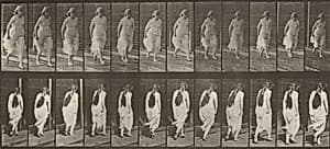 Plate Number 71. Running by Eadweard Muybridge