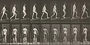 Plate Number 75. Ascending an incline by Eadweard Muybridge
