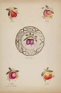 Plates by J. Howard Iams