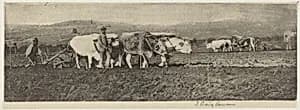 Ploughing on the Campagnetta by James Craig Annan