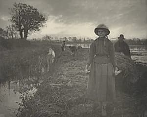 Poling the Marsh Hay