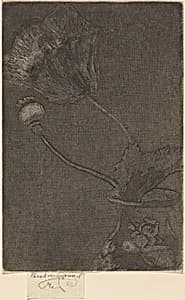 Poppy in a Vase by Théodore Roussel