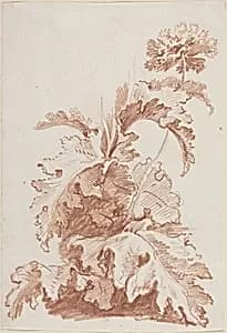 Portrait of Jean-Baptiste Hüet, I