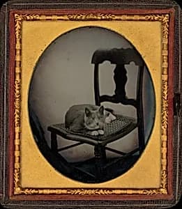 Portrait of Glenalvin Goodridge