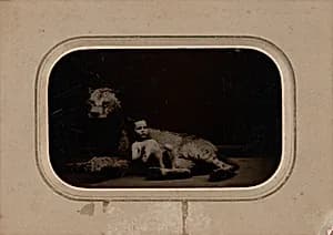 Portrait of a Child by French 19th Century