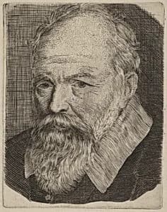 Portrait of a Man by Stefano Della Bella