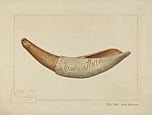 Powder Horn by James M. Lawson