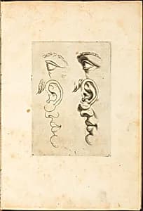 Print from Drawing Book by Luca Ciamberlano