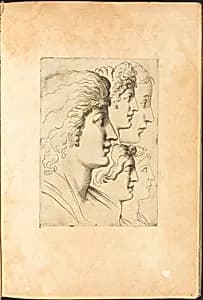 Print from Drawing Book by Luca Ciamberlano