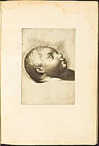 Print from Drawing Book by Luca Ciamberlano