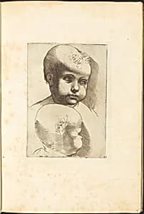 Print from Drawing Book by Luca Ciamberlano