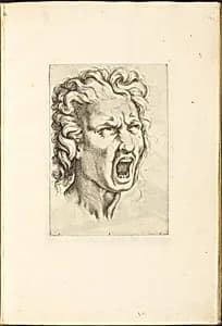 Print from Drawing Book by Luca Ciamberlano