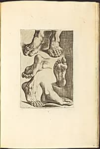 Print from Drawing Book by Luca Ciamberlano