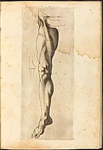 Print from Drawing Book by Luca Ciamberlano