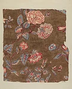 Printed Calico