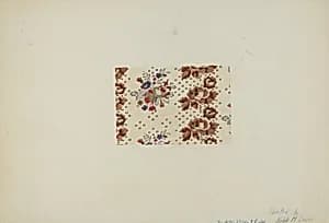 Printed Textile