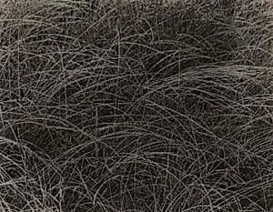 Rain Drops by Alfred Stieglitz