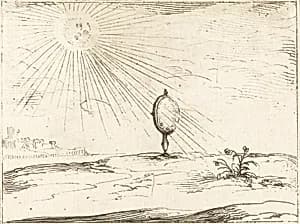 Rays of the Sun by Jacques Callot