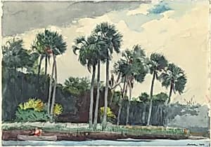 Red Shirt, Homosassa, Florida by Winslow Homer