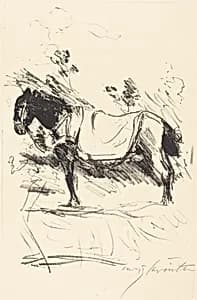 Reitpferd (Riding-Horse) by Lovis Corinth