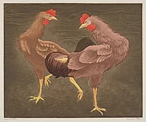 Riled Roosters