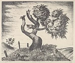 Riven Tree