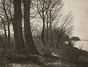 Riverbank by André Kertész