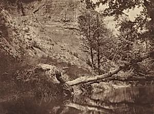 Riverbank by Frank Chauvassaigne