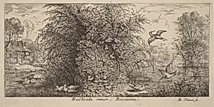 Rusticula minor, The Snipe by Albert Flamen