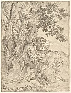 Saint Jerome by Pietro Testa