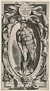 Saint John the Baptist by Cherubino Alberti after Michelangelo