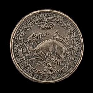 Salamander in Flames [reverse] by Ludwig Neufahrer