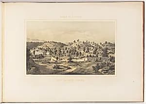 Salt Sulphur Spring