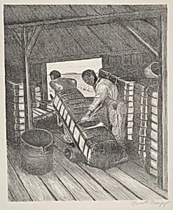 Sampling Cotton