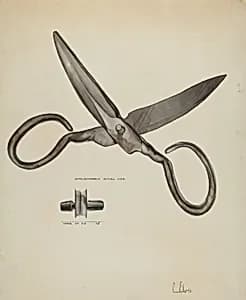 Scissors by Roberta Elvis