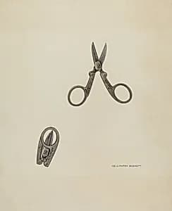 Scissors by Wellington Blewett