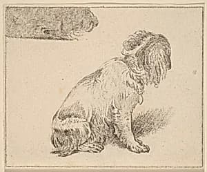 Portrait of Cornelis Ploos van Amstel (editor) and Cornelis Brouwer (printmaker), after Frans van Mieris