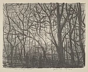 Seen Through Forest