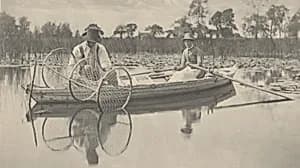 Setting the Bow-Net