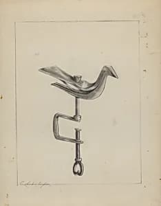 Sewing Bird by Columbus Simpson