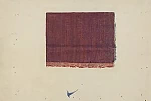 Shaker Dress Material by American 20th Century